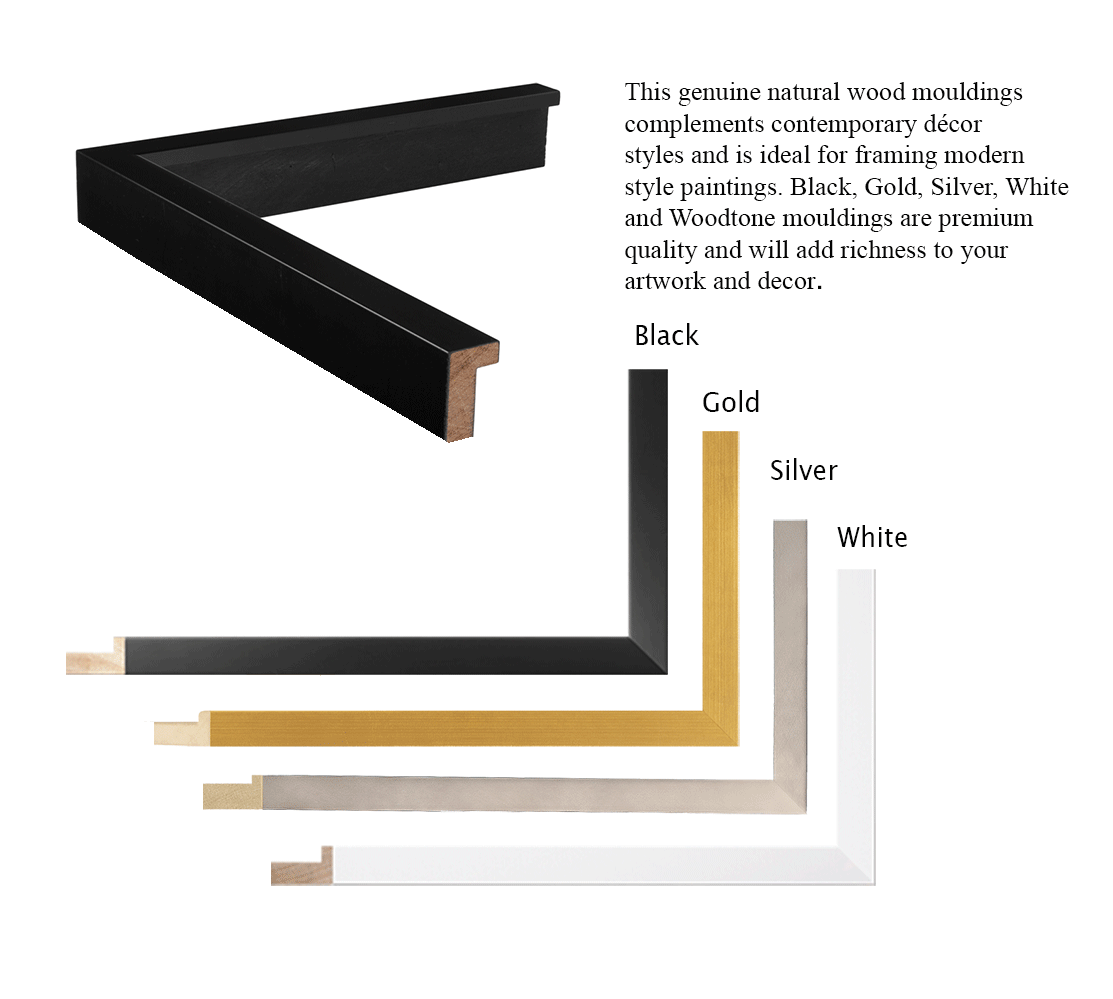Gold and Silver Picture Frame Moulding Section I